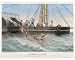 Photographic Print of GIANT SQUID/TENERIFE from Mary Evans