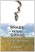 Snake in the Grass: An Everglades Invasion