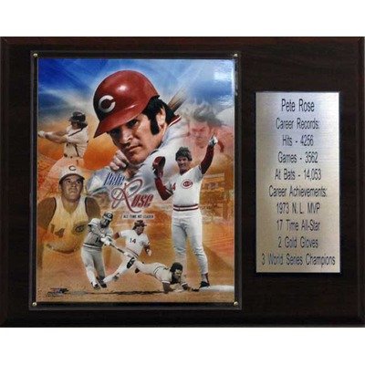 MLB Cincinnati Reds Pete Rose Photo Career Stat Plaque