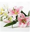 Artifical Flora Lilies - Flower 6pcs