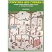 Cowstails and Cobras 2: Guide to Games, Initiatives, Ropes Courses and Adventure Curriculum