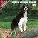 Search : 2009 Eng Springer Spaniel (US) Wall Calendar