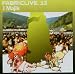 Fabric Live 13