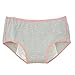 Women's Menstrual Period Leak Proof Control Brief Multi Pack (Size:4-8)