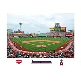 MLB Los Angeles Angels Inside Angel Stadium of Anaheim Mural Wall Graphic