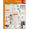 Lerntafel: Zoologie im �berblick (Lerntafeln Biologie)