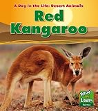 Red kangaroo