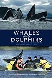 Whales and dolphins : cognition, culture, conservation and human perceptions
