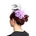 Navifoce Elegant Womens Girl Seersucker Peacock Frangipani Plumeria Fascinators Cocktail Feather Headwear Hair Clip