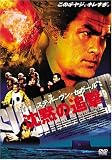 スティーヴン・セガール 沈黙の追撃 [DVD]