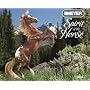 Breyer Spirit of the Horse 2009 Calendar