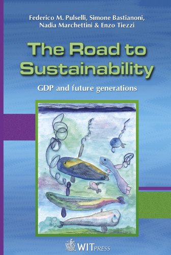 The Road to Sustainability: GDP and Future Generations (The Sustainable World) On Sale