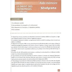 Le droit des entreprises en difficult�