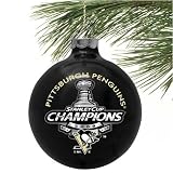 Pittsburgh Penguins 2009 NHL Stanley Cup Champions 2 5/8