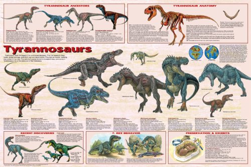 (24x36) Laminated Tyrannosaurs Educational Dinosaur Science Chart Poster