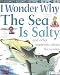 I Wonder Why the Sea is Salty: And Other Questions About the Oceans (I Wonder Why) by Anita Ganeri