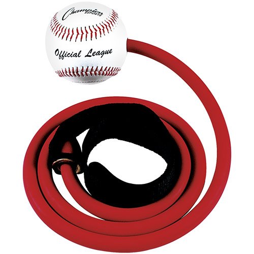 Champion Sports Baseball Training Tube