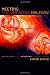 Meeting the Universe Halfway: Quantum Physics and the Entanglement of Matter and Meaning <BR>