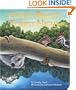 Forest Bright, Forest Night (A Simple Nature Book) (Simply Nature Books)