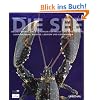Die See: Das Culinarium der Weich- und Krustentiere