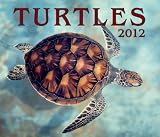 Turtles 2012 (Wall Calendar)
