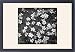 Framed Prints of Dianthus Deltoides (Maiden Pink) from Mary Evans