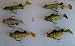 fishing lures 6 pack of lures set 2