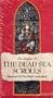 Riddle of the Dead Sea Scrolls [VHS]