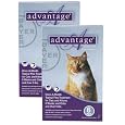 12 MONTH Advantage Purple for cats over 9lbs.
