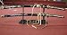 2005 Autographed by David Carradine - BILL & BRIDE Sword Set
