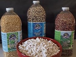 Gourmet Popping Corn Assortment - Three 4 Lb. Bottles