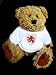 Teddy Bear with luxembourg t-shirt