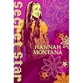 Disney Hannah Montana Window Posters