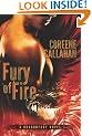 Fury of Fire (Dragonfury Series #1)