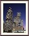 City of Houston by Night Photograph - Beautiful approx. 24"x28" Framed & Matted Photographic Print by Carol M. Highsmith