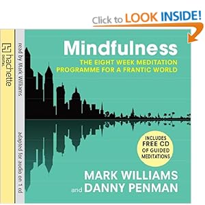 Mindfulness - Mark Williams,Danny Penman