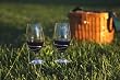 Pack of 8 Stainless Steel Outdoor Wire Wine Glass Holders - Stake into Ground