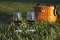 Pack of 8 Stainless Steel Outdoor Wire Wine Glass Holders - Stake into Ground