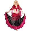 Skirt, Choli Blouse and Hip Scarf Set