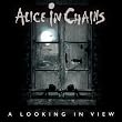A Looking In...