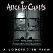 A Looking In View