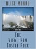 The View from Castle Rock: Stories (Thorndike Press Large Print Basic Series)
