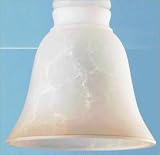 Westinghouse Lighting 81391 Antique Smolder Ceiling Fan Light Shade