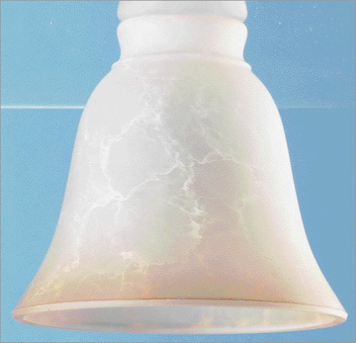 Tools: Westinghouse Lighting 81391 Antique Smolder Ceiling Fan Light Shade
