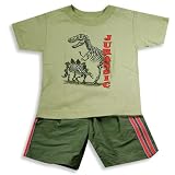 Mis Tee V-us - Toddler Boys Short Sleeve Short Set, Olive, Orange