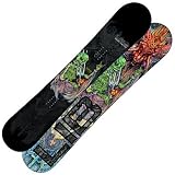 Lib Tech Skunk Ape BTX 09 Freestyle Snowboard - 157cm