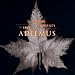Adiemus - The Journey