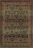 Traditional Area Rug, Oriental Weavers Sphinx Kharma Collection