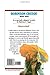 The Adventures of Robinson Crusoe (Great Illustrated Classics)