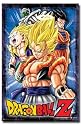 Dragon Ball Z (Heroes) TV Poster Print - 24" X 36"